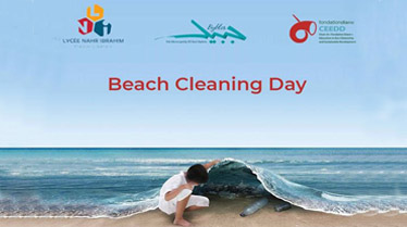 14 Beach Cleaning 374x209 pix