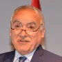 Ghassan Salameh