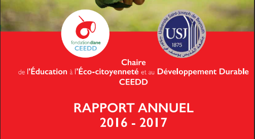 2 CEEDD Annual Report 2016 2017
