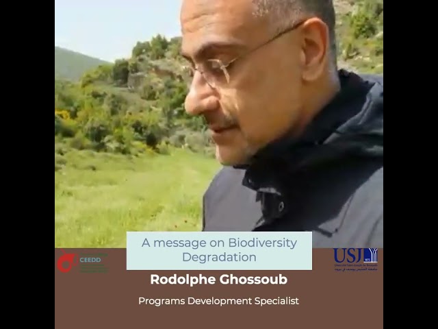Biodiversity Degradation Video by CEEDD