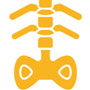 2 2000 Free X rays jpg 90x90 pix