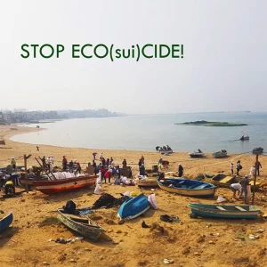 fondation diane stop eco suicide